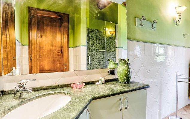 Vineyard View - Photo 16