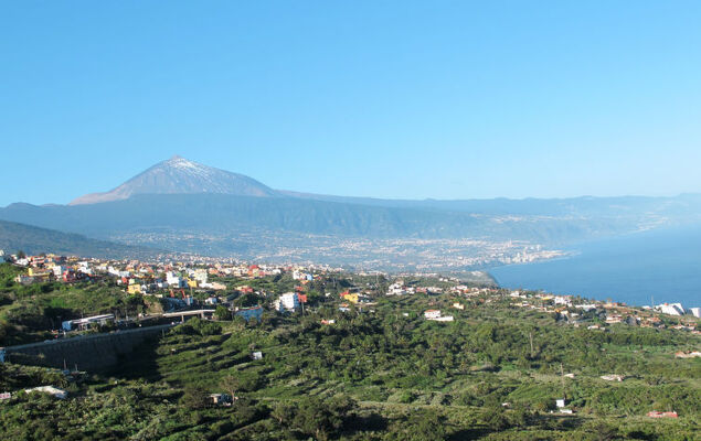 Sunny Tejita - Photo 20