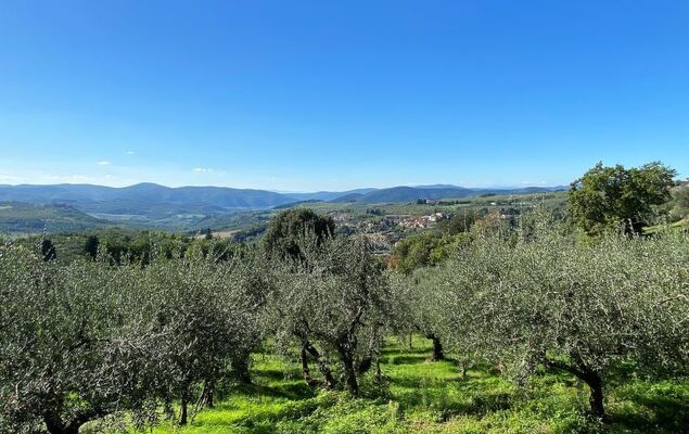 Villa Grassina - Photo 27