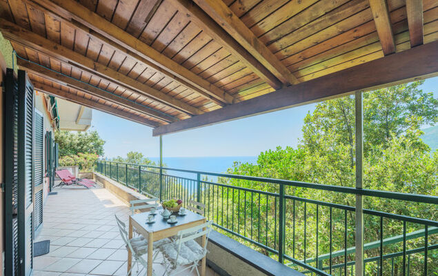 Lambrusca - Photo 27