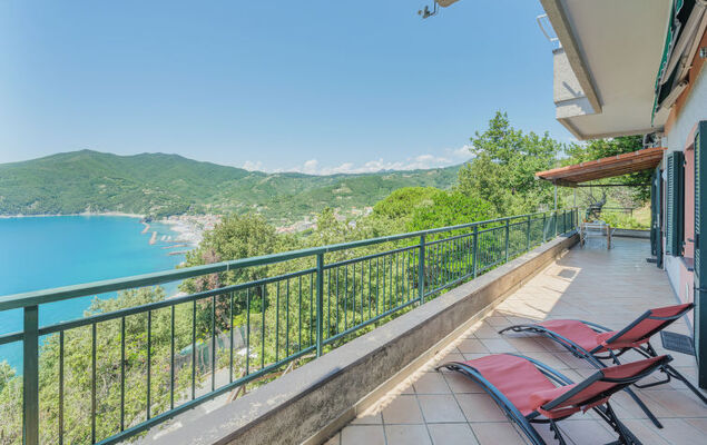 Lambrusca - Photo 34