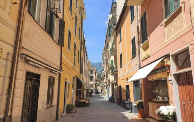 Lambrusca - Photo 43