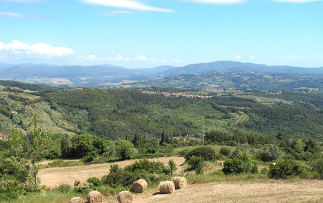 Podere Boscherini - Photo 83